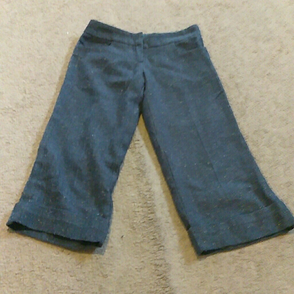 Capris - Picture 1 of 1